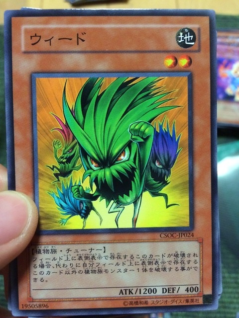 image-71933.jpeg