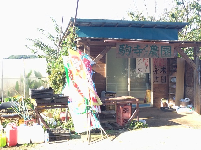 image-977b0.jpeg