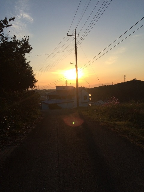 image-b0552.jpeg